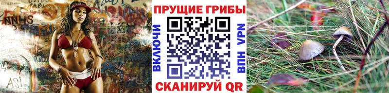 Купить закладки  Первоуральск  Галлюциногенные грибы MAGIC MUSHROOMS 